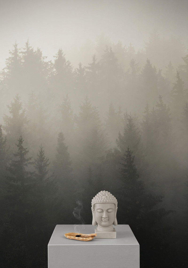 Misty Pine Forest Wall Mural. Peaceful Foggy Morning Scenery.