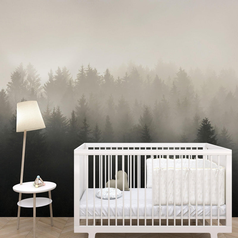 Misty Pine Forest Wall Mural. Peaceful Foggy Morning Scenery.