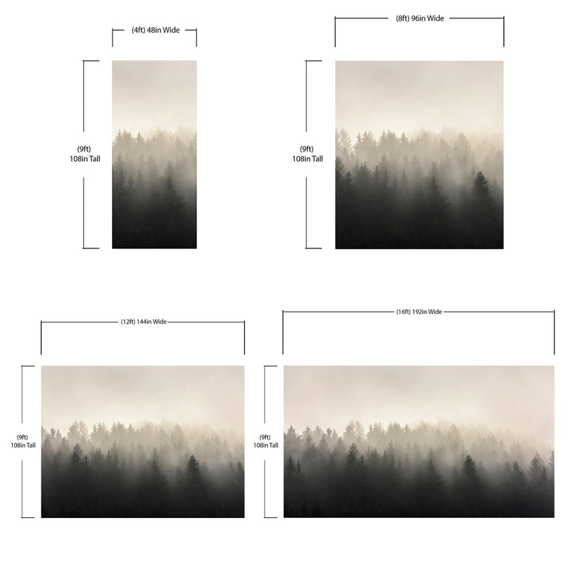 Misty Pine Forest Wall Mural. Peaceful Foggy Morning Scenery.