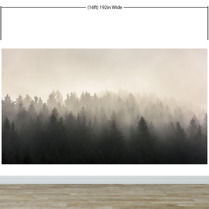 Misty Pine Forest Wall Mural. Peaceful Foggy Morning Scenery.