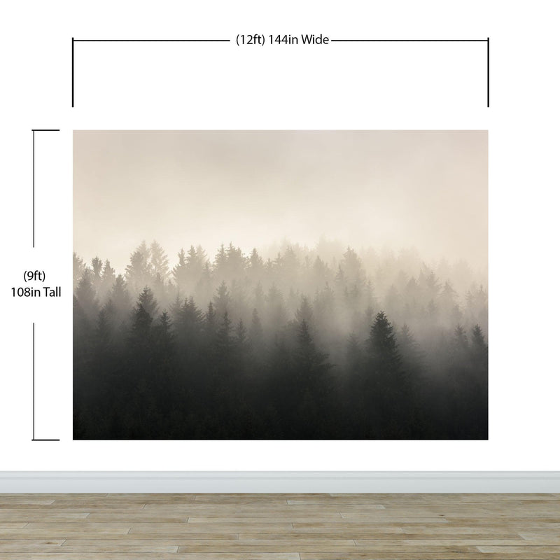 Misty Pine Forest Wall Mural. Peaceful Foggy Morning Scenery.