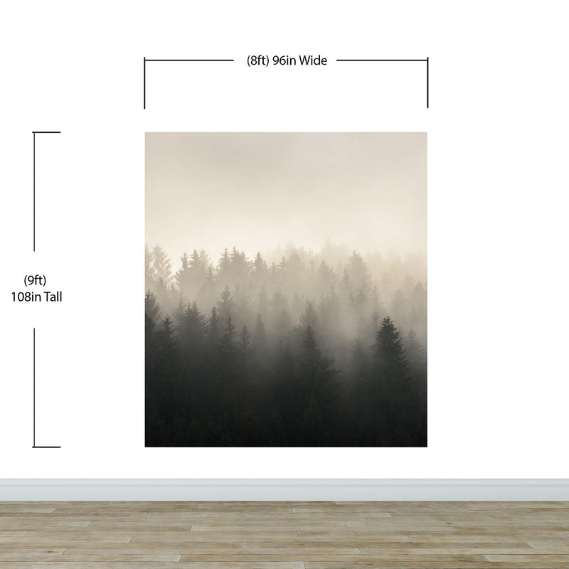 Misty Pine Forest Wall Mural. Peaceful Foggy Morning Scenery.