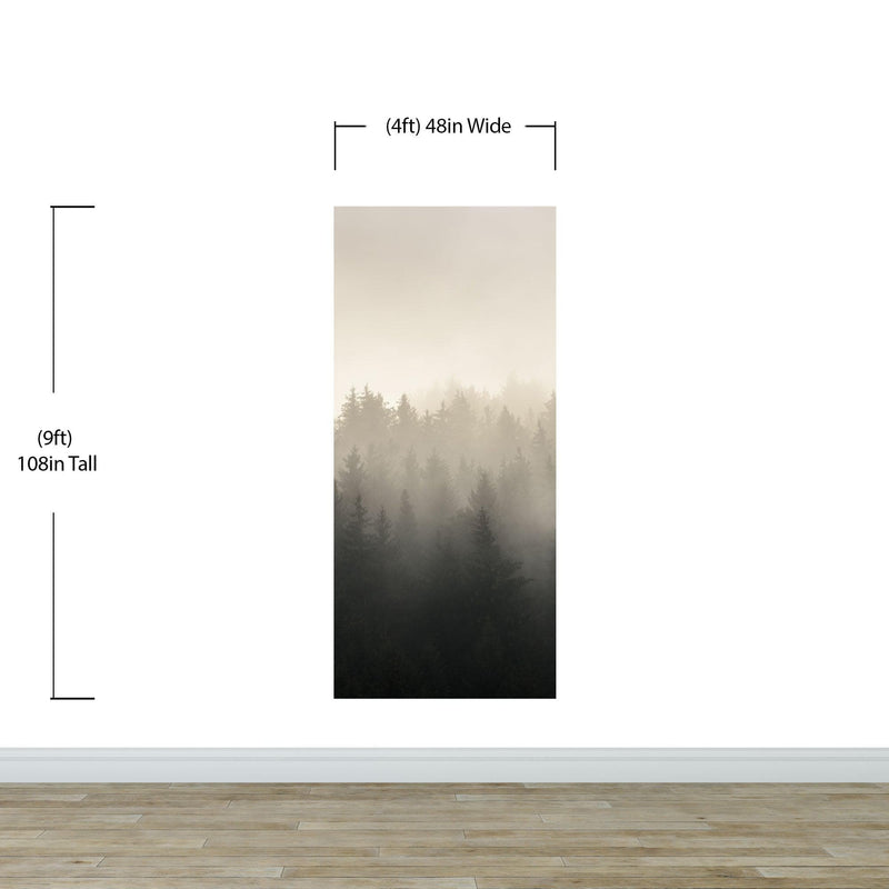 Misty Pine Forest Wall Mural. Peaceful Foggy Morning Scenery.