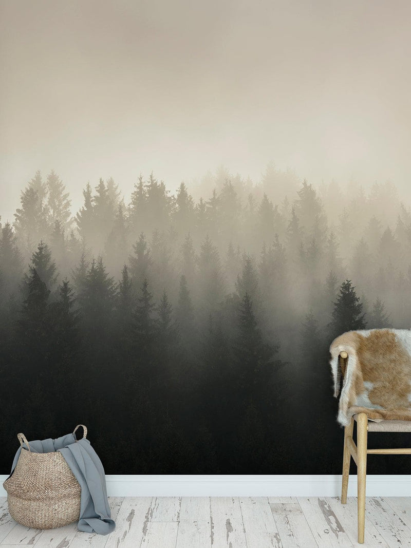 Misty Pine Forest Wall Mural. Peaceful Foggy Morning Scenery.