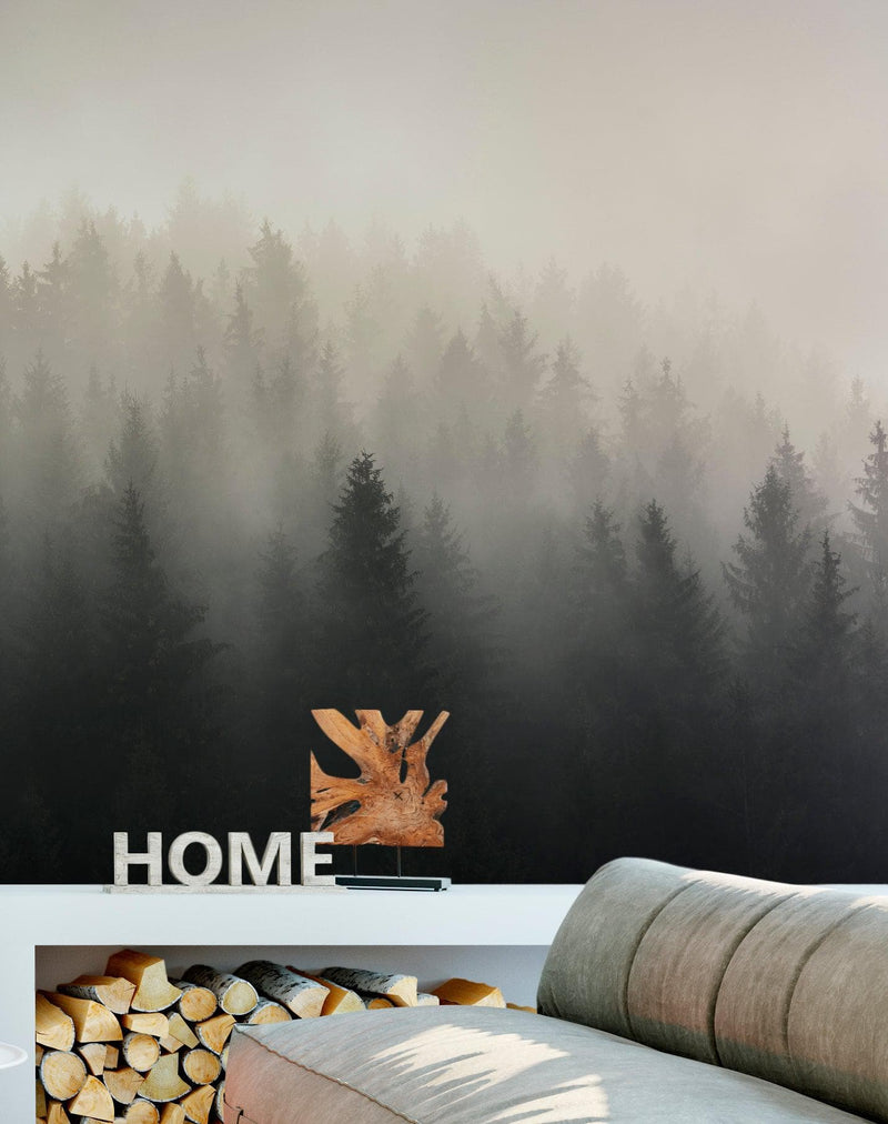 Misty Pine Forest Wall Mural. Peaceful Foggy Morning Scenery.