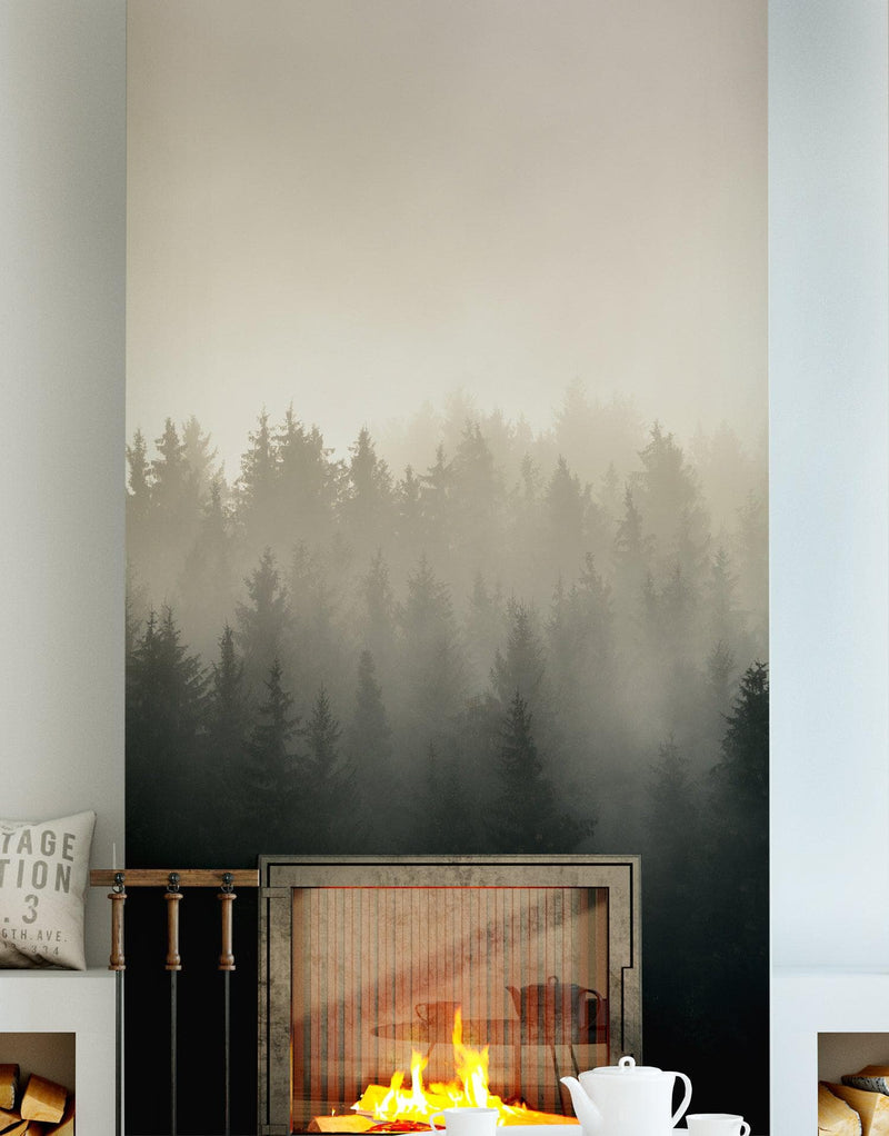 Misty Pine Forest Wall Mural. Peaceful Foggy Morning Scenery.