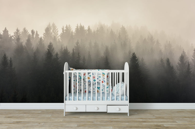 Misty Pine Forest Wall Mural. Peaceful Foggy Morning Scenery.