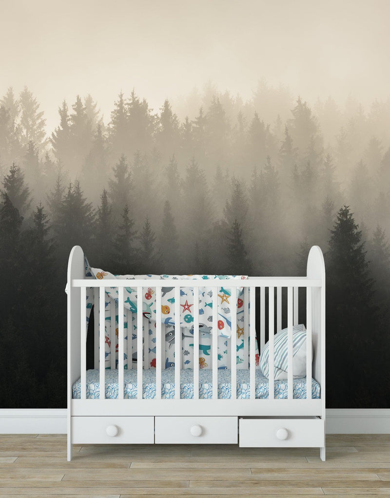 Misty Pine Forest Wall Mural. Peaceful Foggy Morning Scenery.