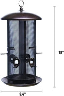 Nature's Rhythm Metal Hopper Bird Feeder, Dual Seed Compartments, 10 Feeding Ports, Holds 10lbs Seed, Attracts Cardinals, Titmice, Nuthatches by GreenHaven Gardens
