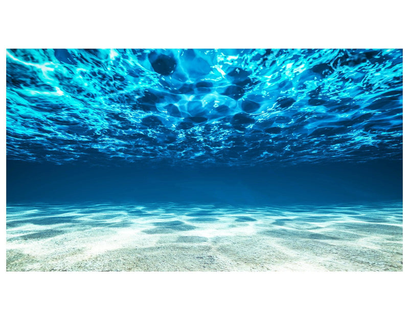 Underwater Wallpaper. View of Tropical Beach Wall Mural