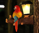 ParrotTree Hugger with Solar Lantern Outdoor Garden Hanging Statues Fence Solar Lights Ideal Parrot Housewarming&Birthday Gifts for Grandma Mom Women by CozyNest Decor