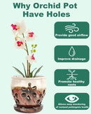 vensovo 5 Inch Ceramic Orchid Pots with Holes and Saucers - 1 Pcs Small Succulent Pot for Repotting, Garden Flowerpots for Plants Indoor and Outdoor Promotes Air Circulation, Brown Mixed by GreenHaven Gardens