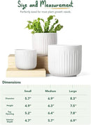 LE TAUCI Fluted Ceramic Planters Set of 3 – 8.3/7 / 5.7 in White Cylinder Indoor Plant Pots with Drainage Plug & Mesh, Matte Glazed Stoneware Flower Pots for Succulent Herb Cactus by CozyNest Decor