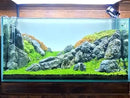 Natural Rocks Seiryu Stones Aquariums Stones for Aquascaping, Aquariums, Terrariums, Vivariums Decorative Stone,Reptile Enclosures,Paludariums,and Gardens-10LB（2 to 7 inch） by CozyNest Decor