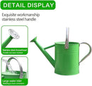 Metal Watering Can, One Gallon Watering Cans Stainless Steel for Outdoor Indoor Garden Plants Watering (Stainless Steel Handle Green) by GreenHaven Gardens
