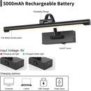 Picture Lights Battery Operated with Remote and Dimmable Function, Rechargeable Gallery Light Black Art Light Wireless Painting Lights 16'' Inch for Display, Portrait, Artwork, Warm White by CozyNest Decor