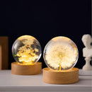 Flower Crystal Ball Night Light,2.4 inch Glass Ball Night Lamp with Woodern Base (Dandelion) by GreenHaven Gardens