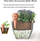 Plant Watering Devices 4 Pack Terracotta Vacation Plant Waterer Bottle Watering Stakes Slow Release Plant Watering Spikes Self Watering Devices for Indoor Outdoor Plants by GreenHaven Gardens