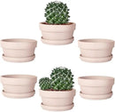 vensovo 5.7 Inch Pink Terracotta Shallow Succulent Pots - 6 Pack Terra Cotta Clay Pot with Saucer, Cacuts Indoor and Outdoor Planters with Drainage Hole by GreenHaven Gardens