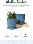 LE TAUCI Ceramic Pots for Plants, 5.5 Inch Plant Pots with Drainage and Saucer, Indoor Plant Pots for Succulents, Snake Plants, Cactus, and More, Set of 2, Reactive Glaze Blue by GreenHaven Gardens