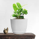 12/10/9 Large Modern Plant Pots, Plastic Planters with Drainage Holes and Saucers for Indoor Outdoor Plants Flowers, White by GreenHaven Gardens