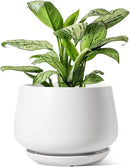 LE TAUCI Ceramic Planters, 12 Inch Pots for Plants, Indoor Plant Pots with Drainage Holes and Saucers, Modern Planters Fit Mid Century Plant Stand, Flower Pots for Indoor Plants, White by GreenHaven Gardens