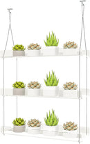 Hanging Clear Window Plant Shelves, Height Adjustable Acrylic Window Plant Hanger, 3-Tier Sturdy Window Sill Plant Shelf for Indoor Window Grow Herbs, Succulents, Flower by GreenHaven Gardens