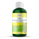 Organic Premium Kelp Seaweed Liquid Fertilizer for Lucky Bamboo - Natural Soil Enhancer (16 OZ) by GreenHaven Gardens