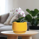 G EPGardening Ceramic Pots for Plants - 7 Inch Plant Pot with Drainage Hole and Saucer, Modern Ceramic Planter for Indoor Outdoor, Round Flower Planter, Gifts for Plants Lovers, Home Decor, Yellow by GreenHaven Gardens
