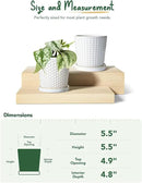 LE TAUCI Ceramic Plant Pots, 5.4 Inch Pots for Indoor Plants, Planters with Drainage Hole and Saucer, Flower Pots for Succulent, Snake Plants and Cactus, Set of 2, Reactive Glaze White by GreenHaven Gardens