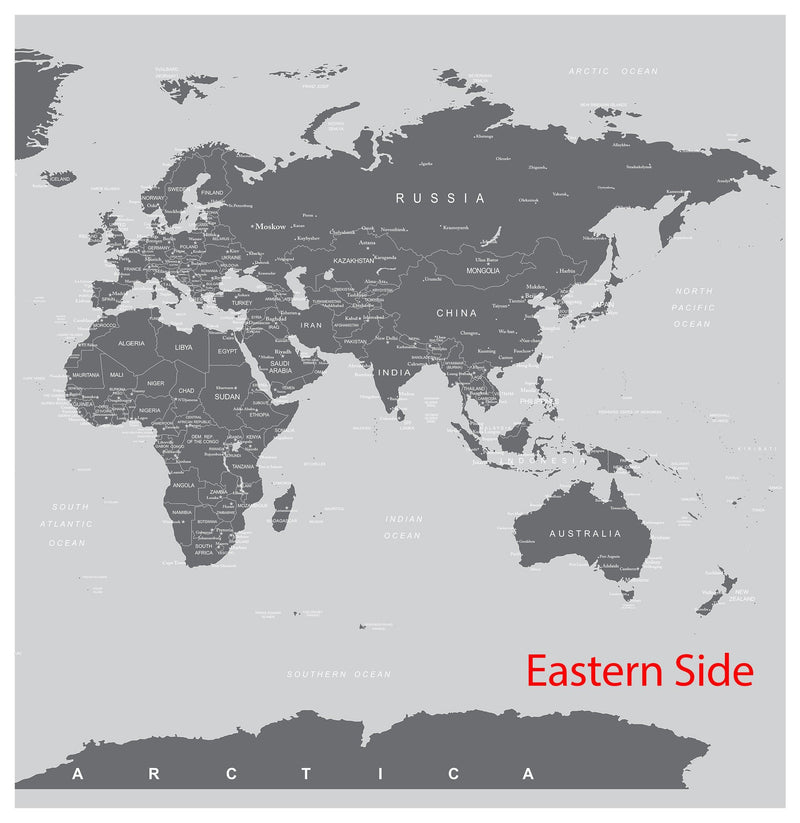 World Map Wall Mural (Grey).