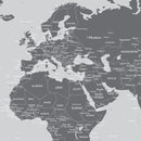 World Map Wallpaper Mural (Grey).