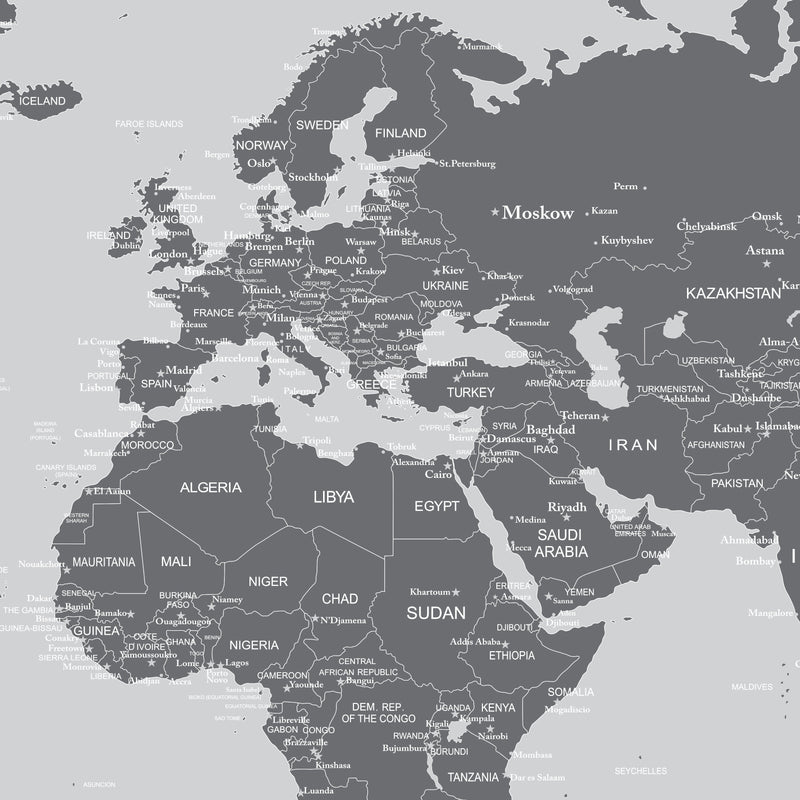 World Map Wall Mural (Grey).