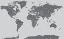 World Map Wallpaper Mural (Grey).