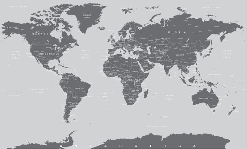 World Map Wall Mural (Grey).