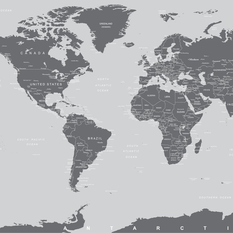 World Map Wall Mural (Grey).