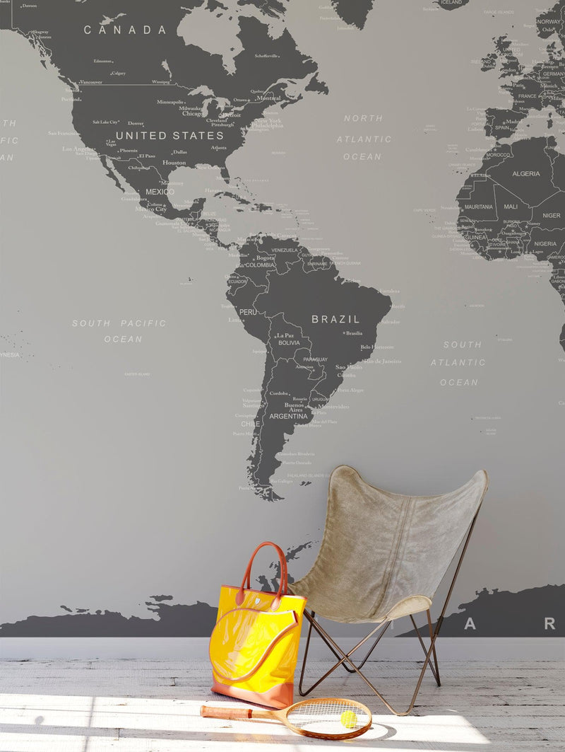 World Map Wall Mural (Grey).