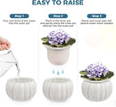 African Violet Pots, 6 inch Pumpkin-Style Ceramic Easy Self Watering Plant Pot for Busy Plant Lovers, Automatically Absorb Appropriate Amount of Water, Flower Pot Indoor-Plants Not Included by GreenHaven Gardens