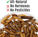 Grub Fuel Black Soldier Fly Larvae for Chickens - Nutrient-Packed BSFL, Sustainably Sourced Snack for Poultry, Rich in Protein, Calcium, Fiber, Essential Fatty Acids, USA Grown (1LB) by GreenHaven Gardens