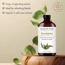 Majestic Pure Eucalyptus Essential Oil with Glass Dropper - Huge 4 Fl Oz - 100% Pure and Natural Eucalyptus Oil - Premium Grade Essential Oils for Diffuser, Aromatherapy, Soap and Candle Making by CozyNest Decor