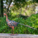 VEWOGARDEN Peacock Outdoor Statues Metal Peacock Tail Spread Garden Sculptures & Statues for Yard Lawn Patio Pool Outside Decorations, Blue & Bronze by GreenHaven Gardens