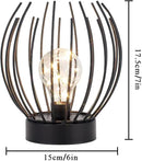 JHY DESIGN Decorative Battery Table Lamp Battery Powered Lights Indoors lamp with LED Bulb Battery Operated Outdoor Lantern Great for Room Decor Parties Patio Events by GreenHaven Gardens