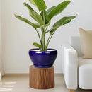 Ceramic Planter Pot 11 Inch - Indoor Planter Pot for Plants with Drainage Hole and Saucer Large Planter Round Outdoor Flower Pot Mid-Century for House Patio Decor Blue by GreenHaven Gardens