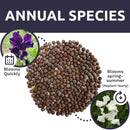 Sweet Pea Seeds Royal Mix - Bulk 1/4 Pound Bag - Over 1,400 Seeds - Large Fragrant Lavender, Purple, Red, Pink and White Blooms by GreenHaven Gardens