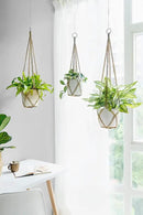 Dahey Macrame Plant Hanger Set of 3 with Hooks Indoor Hanging Planter Basket 35"/29"/23" Handmade Woven Cotton Rope Flower Pot Crochet Plant Holder Stand for Boho Home Decor No Tassels,Brown by GreenHaven Gardens