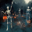 DINESIL 5.4ft/165cm Halloween Skeleton, Halloween Life Size Skeleton with Spider Pumpkin Bag, Full Body Human Bones with Movable Joints for Halloween Indoor Outdoor Haunted House Decorations by GreenHaven Gardens