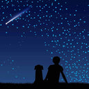 1230 PCS Glow in The Dark Stars Wall Stickers, 3D Adhesive Dots Decor Starry Sky Decor for Kids Bedroom, Beautiful Wall Decals (Blue) by TinyTreasures Baby Boutique