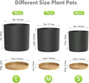 8/7/6 inch Flower Pots, 3 Pack Cylinder Plant Pots for Outdoor Indoor Plants, Decorative Plastic Planters with Drainage Holes and Saucers for Garden House Plants, Black with Brown by GreenHaven Gardens