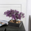 Artificial Bonsai Tree Juniper Faux Plants Indoor Fake Plants Decor with Black Ceramic Pots for Home Table Office Desk Bathroom Shelf Bedroom Living Room Farmhouse Decorations-Purple