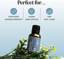 Breathe Essential Oil for Diffuser - Invigorating and Refreshing Breathe Essential Oil Blend with Eucalyptus Peppermint Tea Tree and Mint for Diffusers for Home and Shower Aromatherapy (1 Fl Oz) by CozyNest Decor